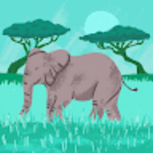 Meet your Posher, Sherry